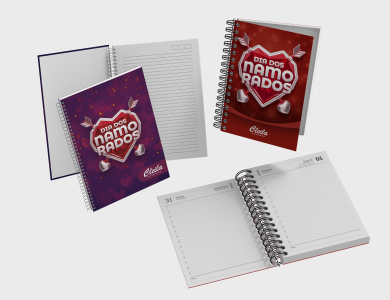 Agendas e Cadernos